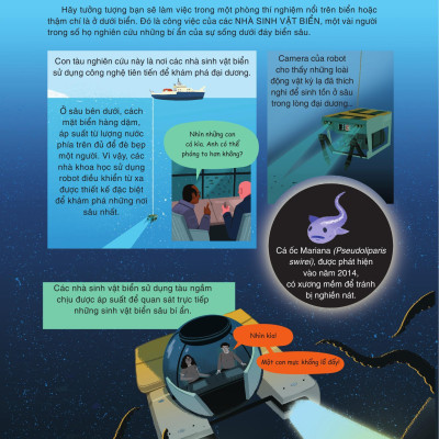 Sách - Hiểu Về Nghề Nghiệp - Các Nhà Khoa Học Làm Gì? - Bìa Cứng