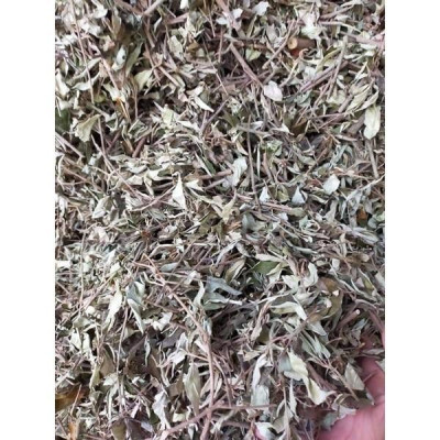 cây khổ sâm phơi khô túi 1kg