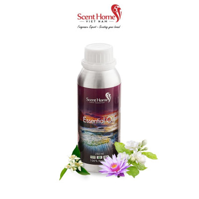Tinh dầu Scent Homes - mùi hương (Nile River Garden)