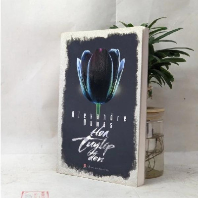 Sách - Hoa Tuylip Đen - Alexandre Dumas - Huy Hoàng Bookstore
