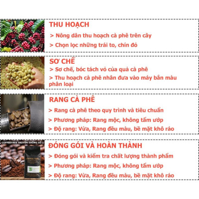 Cà Phê Nguyên Chất - Hạt - Truyền Thống Số 3 - Buôn Mê Thuột - 1Kg - Hương Thơm Vừa, Vị Đắng Đậm, Hậu Vị Ngọt