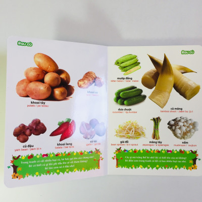 Sách – Từ Điển Tranh về Rau - Củ -  Quả - Hoa
