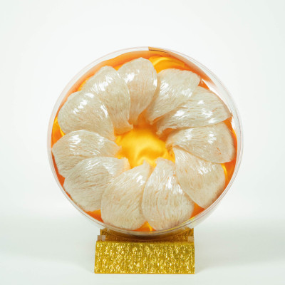 [Hàng chính hãng] Yến rút lông khô định hình (50g-100g) -Yến tinh chế sợi dài, tổ to, dày nguyên chất - Tặng đường phèn, táo đỏ - Yến Ngon AK