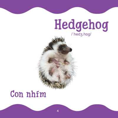 Cùng Con Trưởng Thành - Từ Điển Bằng Hình Cho Trẻ Mầm Non - Động Vật Hoang Dã _DTI