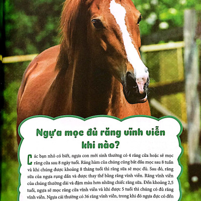 10 Vạn Câu Hỏi Vì Sao - Động Vật Quanh Ta