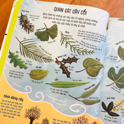 Sách - Bộ Tí ta tí toáy - Never get bored (Bìa cứng) (Trọn bộ 02 cuốn) - Nhã Nam Official