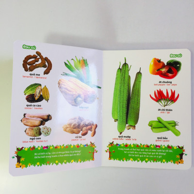 Sách – Từ Điển Tranh về Rau - Củ -  Quả - Hoa