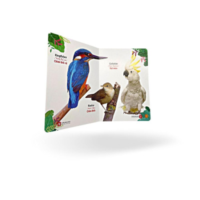 Sách - Từ Điển Bằng Tranh Thế Giới Loài Chim - Việt Thư