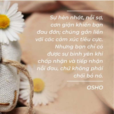 Osho - Cảm Xúc - Chuyển Hóa Nỗi Sợ Hãi, Giận Dữ Và Ghen Tuông Thành Năng Lượng Sáng Tạo - Bìa mềm - First News