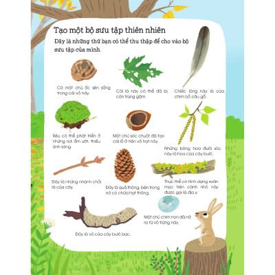 Sách - Thế Giới Trong Tay Em - Thiên Nhiên Diệu Kỳ