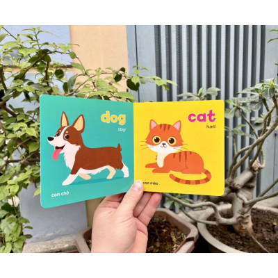 Sách - Bộ Bìa Cứng Thư Viện Hình Ảnh Đầu Tiên Cho Bé Về Thế Giới Xung Quanh Baby