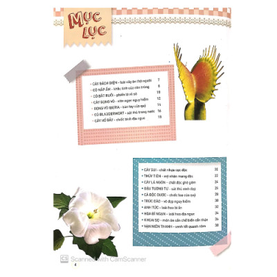 Thực Vật Thần Kỳ (HH)