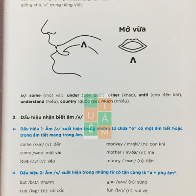 Sách - Luyện chuyên sâu ngữ pháp và từ vựng Tiếng Anh 6 ND (Global Success)