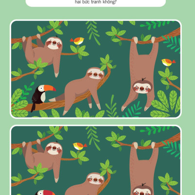 70 Hoạt Động Rèn Luyện IQ, Tăng Cường Tư Duy