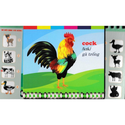 Sách - Bộ Thẻ Học Tiếng Anh - Phát Triển Trí Tuệ Cho Trẻ - Động Vật Nuôi - Hồng Ân
