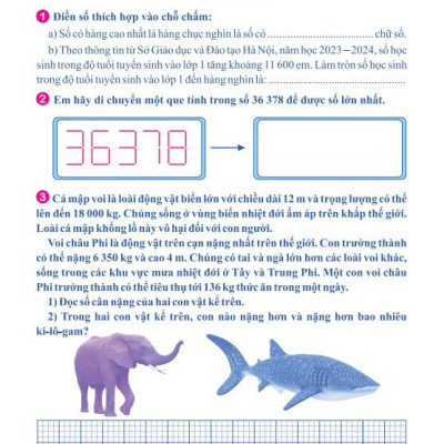 Sách - Phát Triển Trí Thông Minh Toán 4 - Biên soạn theo chương trình GDPT mới - ndbooks