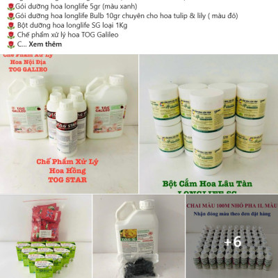 Thuốc Bột Cắm Hoa Tươi nhập khẩu Israel tại shop Florist (1 hủ pha 100L nước cắm hoa) hiệu Longlife SG là bí quyết giúp hoa cắm Xốp tươi lâu và hạn chế chăm sóc thay hoa mới