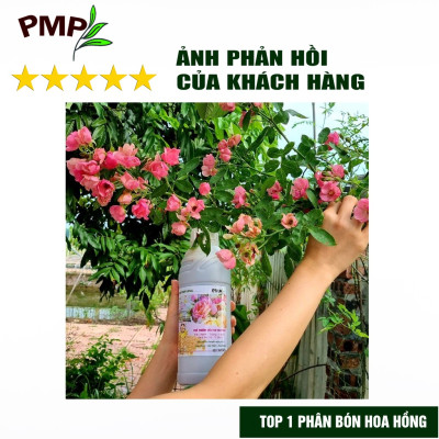 Phân Bón Hoa Hồng Combo Phân Đậu Nành Soymic - Dịch Chuối Humic ( 2 Chai x 1 L)
