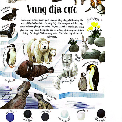 Những Mảnh Ghép Đa Sắc Của Các Hệ Sinh Thái