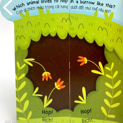 Animals - Các Loài Động Vật