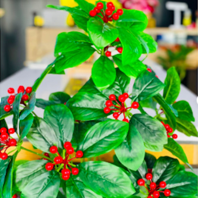 Cây kim ngân lượng giả - Size từ 70cm đến 160cm - Cây giả, hoa lụa Decor trang trí nhà cửa