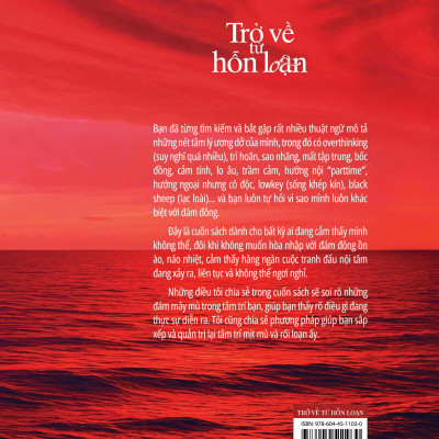 Sách - Trở về từ hỗn loạn - Tác giả Trần Nhật Minh - Trithuctrebooks - Khổ 14.5*20.5 cm