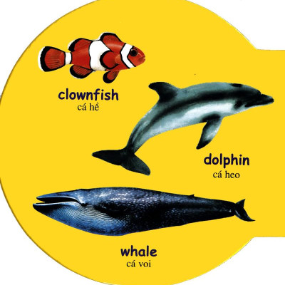 Từ Điển Anh - Việt Bằng Hình: Sea Animals - Động Vật Biển