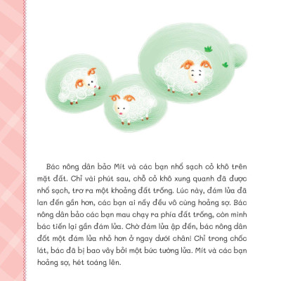 Những Câu Chuyện Bồi Dưỡng Chỉ Số - IQ - Chỉ Số Thông Minh