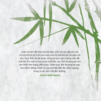   Nói Với Tuổi Hai Mươi - Thích Nhất Hạnh