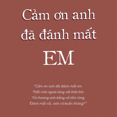 Cuốn sách: Cảm Ơn Anh Đã Đánh Mất Em