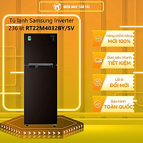 Tủ lạnh Samsung Inverter 236 lít RT22M4032BY/SV - HÀNG CHÍNH HÃNG