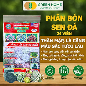 Phân Bón Sen Đá Greenhome, Gói 24 Viên, Kích Rễ, Lên Màu Chuẩn, Dùng Cho Cây Mọng Nước, Xương Rồng