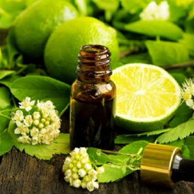 Tinh dầu Trái Chanh tươi 100ml nguyên chất từ thiên nhiên, xông phòng, khử mùi, thơm phòng, đuổi muỗi, thư giản - KingOil