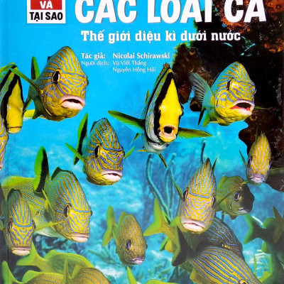 Thế Nào Và Tại Sao - Các Loài Cá - Thế Giới Diệu Kì Dưới Nước