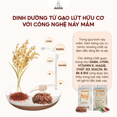Combo Sữa Hạt Gạo Lứt Hữu Cơ Millet & 24Grains Gói 30g Nana Malaysia Cho Trẻ Từ 3 Tuổi & Người Lớn Bổ Sung Dinh Dưỡng - 24grains