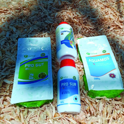 Kích thích hệ miễn dịch tôm cá AQUAMOS