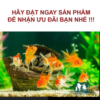 Vitamin tổng hợp 100GR cho cá cảnh, cá rồng, cá vàng, cá bảy màu guppy, cá rồng, cá Koi, ếch rùa, baba, lươn ...  