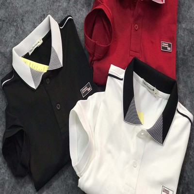 Áo Thun Cổ Bẻ Men Phong Cách Đơn Giản, Lịch Lãm Bắt Mẳt Dễ Phối Đồ - LZPS109