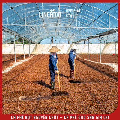 Cà Phê Bột Nguyên Chất - Cà Phê Đặc Sản Gia Lai - 500 gram