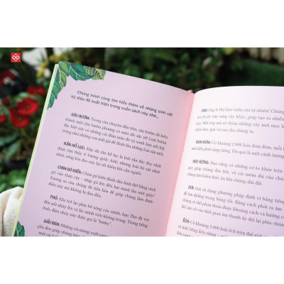 Sách - Thiên nhiên diệu kỳ - Truyện kể cho trẻ từ 6 tuổi - Combo 2 Cuốn - Đinh Tị Books