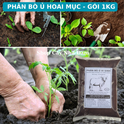 Phân Bò Đã Qua Xử Lý ủ Trichoderma, Chuyên Rau Sạch, Cây Cảnh, Cây Ăn Trái, Hoa (Gói 1Kg)