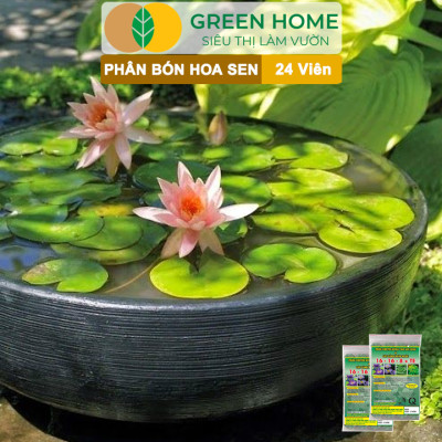 Phân Bón Hoa Sen Greenhome, Vỉ 24 Viên, Cây Thuỷ Sinh, Ngập Nước, Cho Hoa To, Hoa Đậm Màu, Lâu Tàn, Tốt Lá