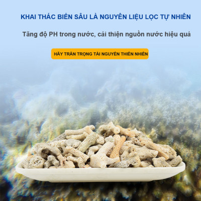 San Hô Vụn túi 1KG + Phân nền thủy sinh DIAMAX AQUA 2KG giàu dinh dưỡng, trang trí bể cá, hồ cá