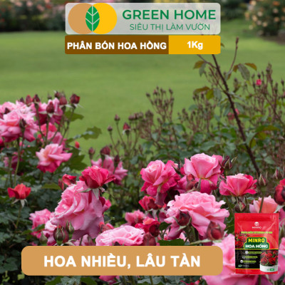 Phân Bón Hoa Hồng GreenHome, Minro, Bao 1kg, Hữu Cơ, Bung Chồi, Mượt Lá, Hoa Nhiều, Bền Hoa