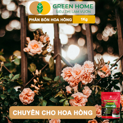 Phân Bón Hoa Hồng GreenHome, Minro, Bao 1kg, Hữu Cơ, Bung Chồi, Mượt Lá, Hoa Nhiều, Bền Hoa