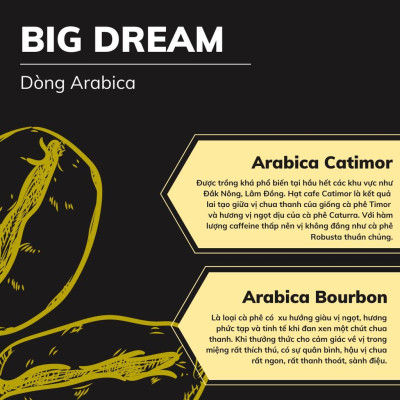 Cà phê rang xay ARABICA CATIMOR 250g cafe nguyên chất hương vị chua thanh đắng nhẹ tinh tế cafe Việt - Big Dream Coffee