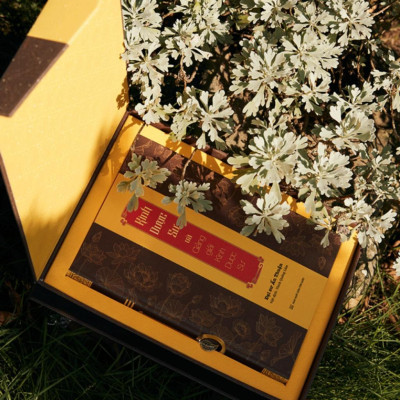 Sách - Kinh Dược Sư và Giảng Giải Kinh Dược Sư  - Hộp Đặc Biệt - Vĩnh Nghiêm Books