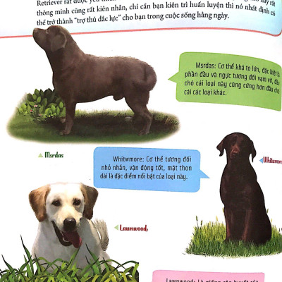 Bách Khoa Động Vật Dành Cho Trẻ Nhỏ - Thú Cưng