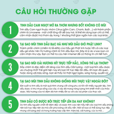 Tinh Dầu Phong Lữ Kobi Giúp Thơm Phòng, Giảm Stress, Chống Viêm Nhiễm (50ml)