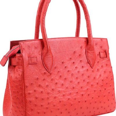 Túi Xách Da Đà Điểu Huy Hoàng HT6406 (32 x 25 cm) - Đỏ